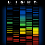 Let there be LIGHT